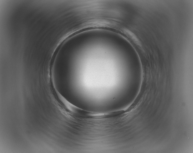 X0000073871226200608101501