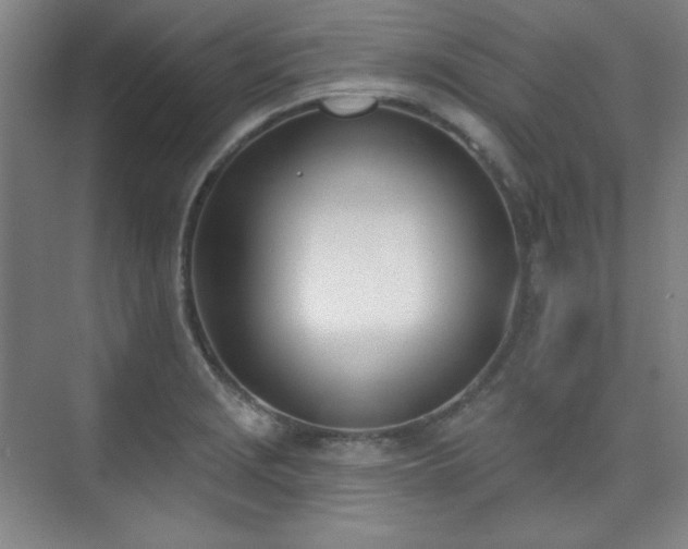 X0000073871229200608101501