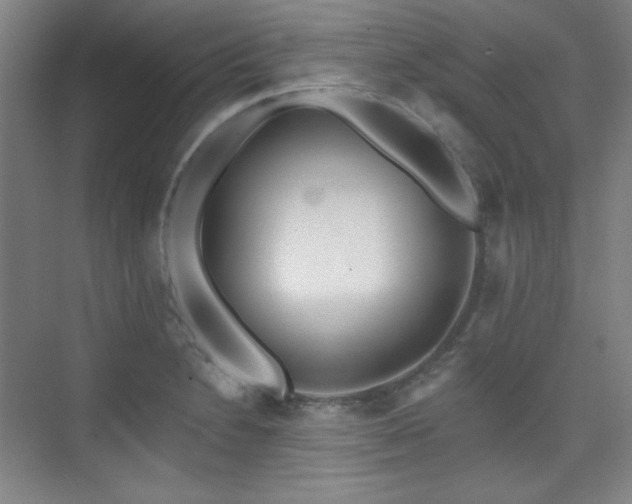 X0000073871230200608101501