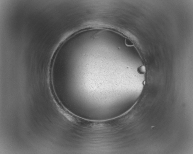 X0000073871231200608101501