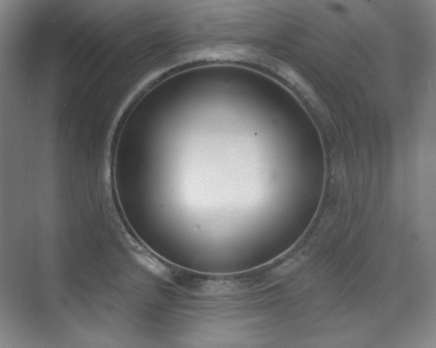 X0000073871232200608101501