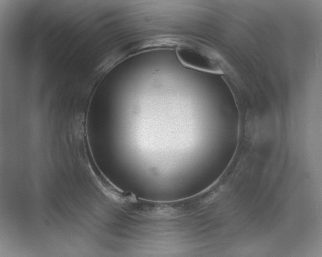 X0000073871233200608101501