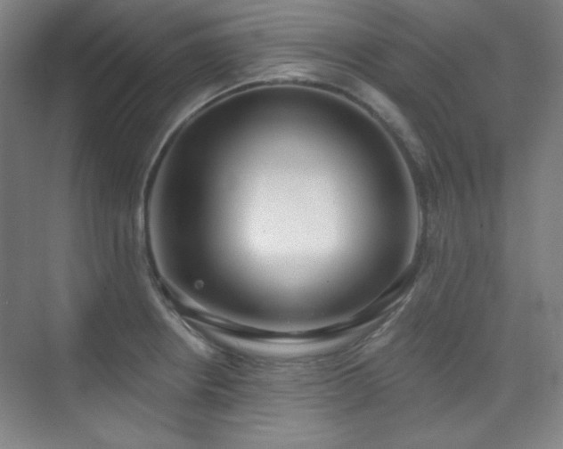 X0000073871234200608101501