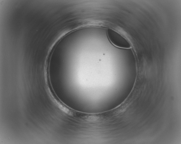 X0000073871235200608101501