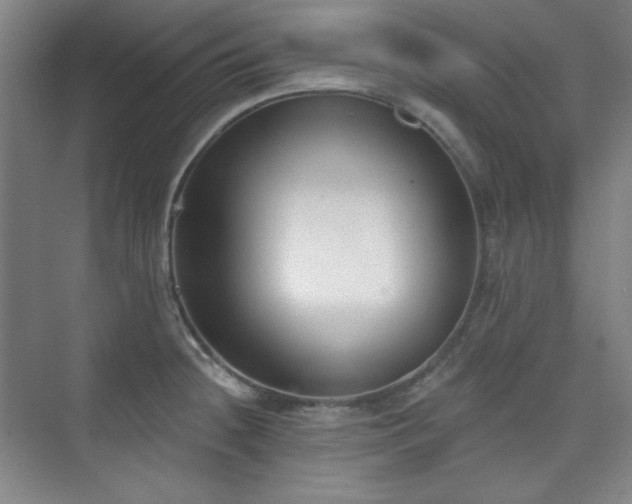 X0000073871236200608101501