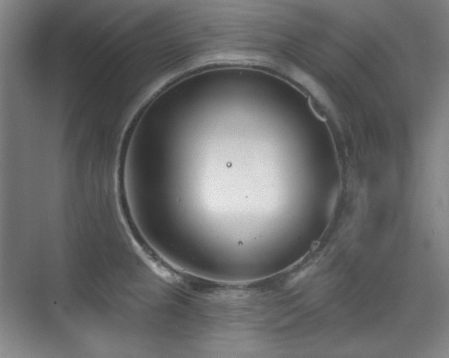 X0000073871237200608101501