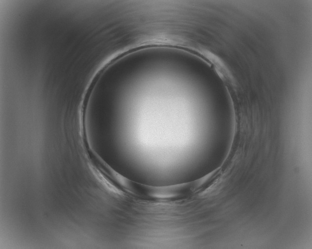 X0000073871238200608101501