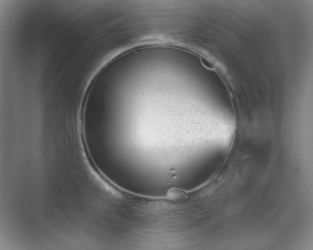 X0000073871239200608101501