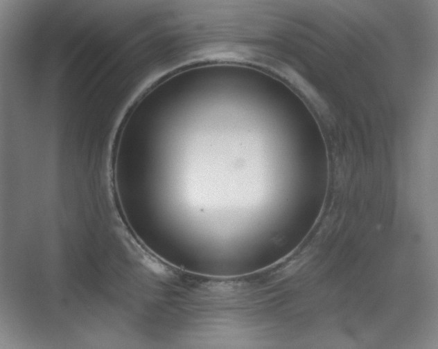 X0000073871240200608101501