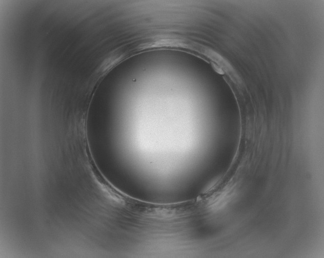 X0000073871241200608101501