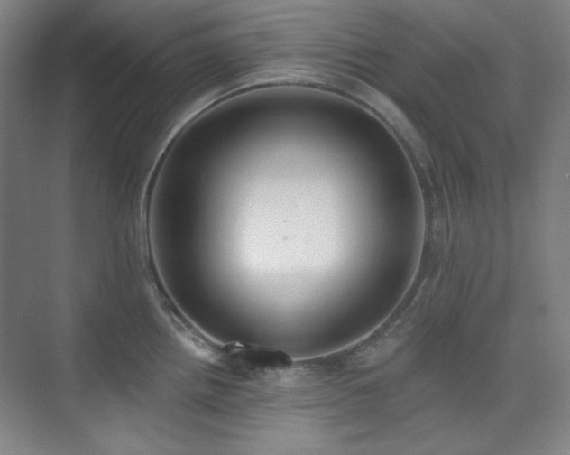 X0000073871242200608101501