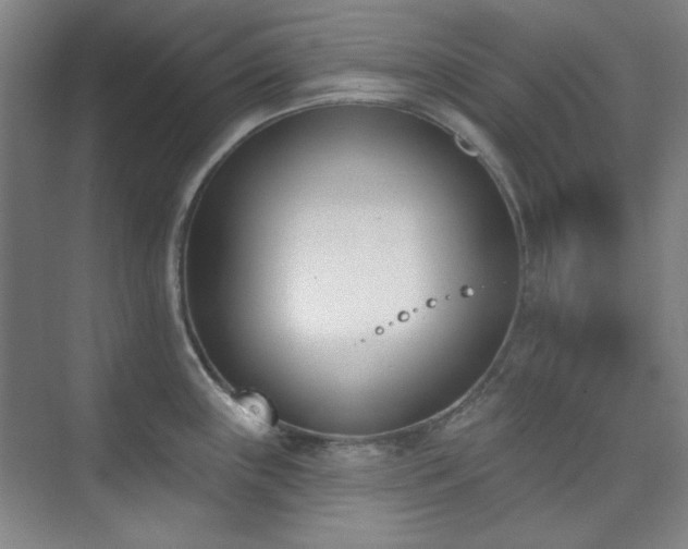 X0000073871243200608101501