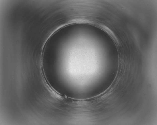 X0000073871244200608101501