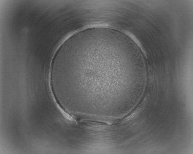 X0000073871245200608101501