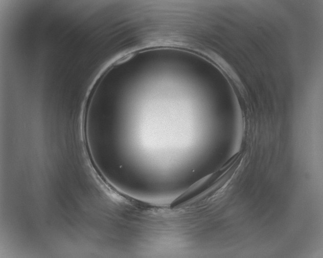 X0000073871246200608101501