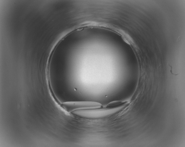 X0000073871247200608101501