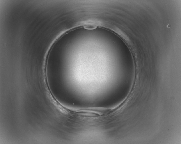 X0000073871248200608101501