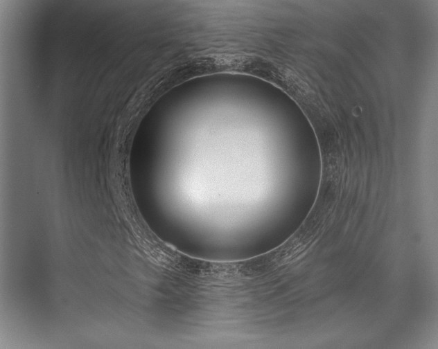 X0000073871249200608101500