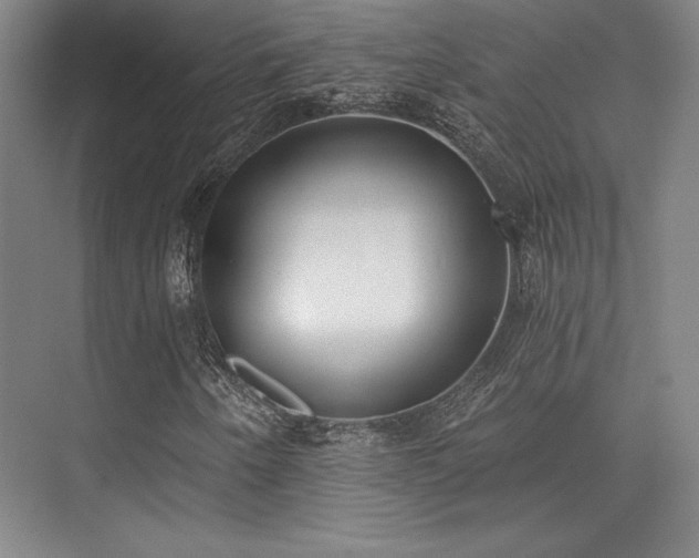 X0000073871250200608101500