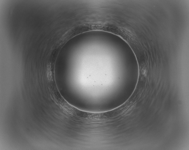 X0000073871252200608101500