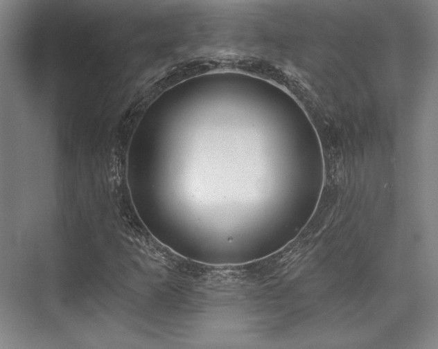 X0000073871253200608101500