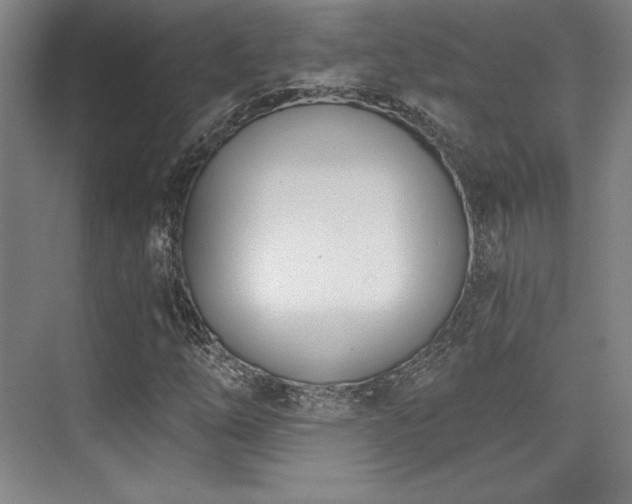 X0000073871254200608101500