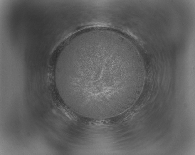 X0000073871255200608101500