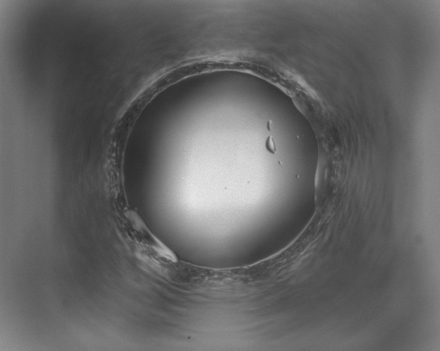 X0000073871256200608101500