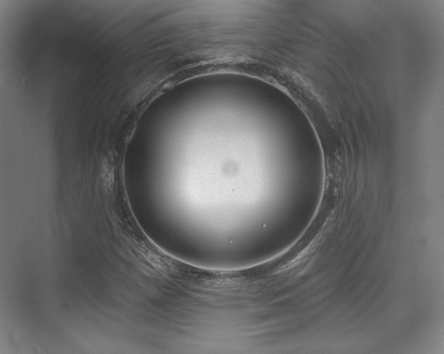 X0000073871257200608101500