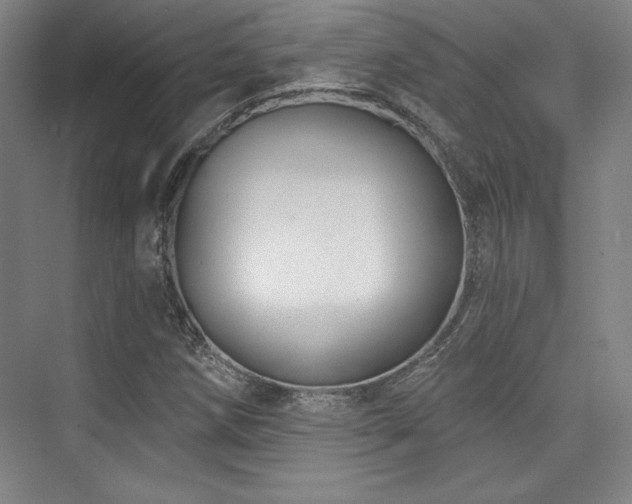 X0000073871258200608101500