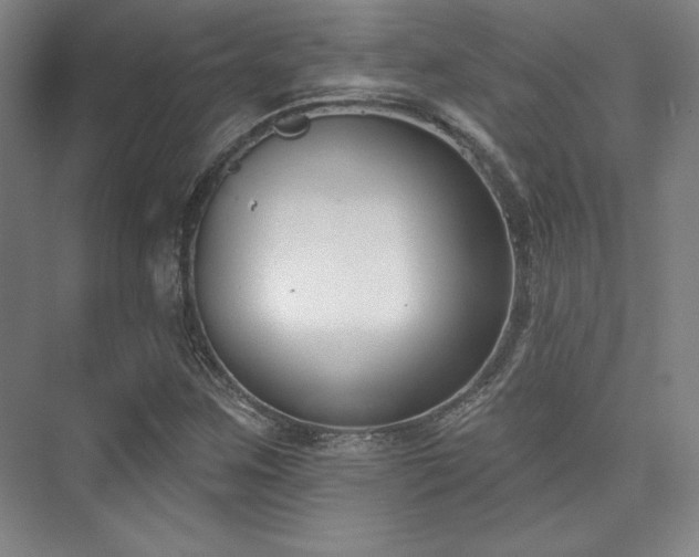 X0000073871259200608101500