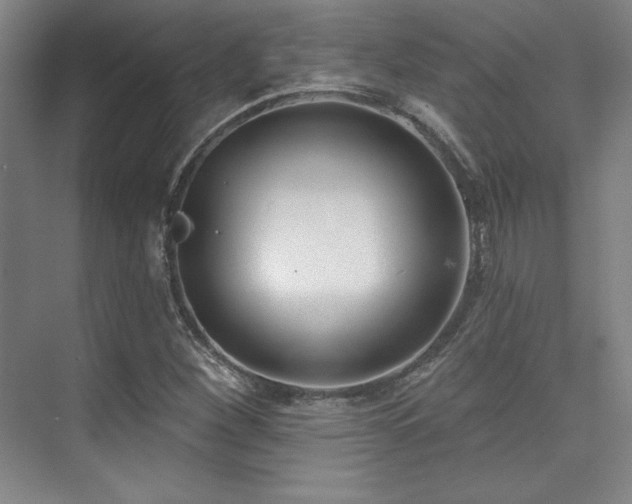 X0000073871260200608101500