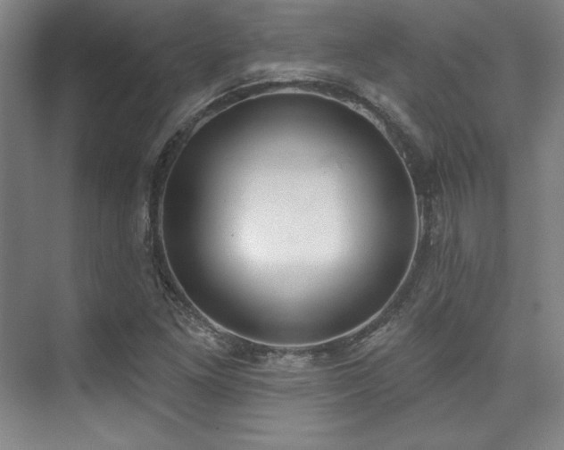 X0000073871261200608101500