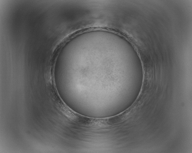 X0000073871262200608101500