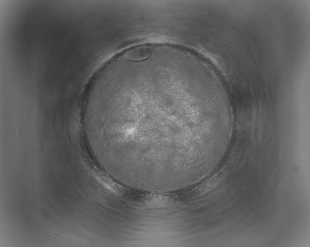 X0000073871263200608101500