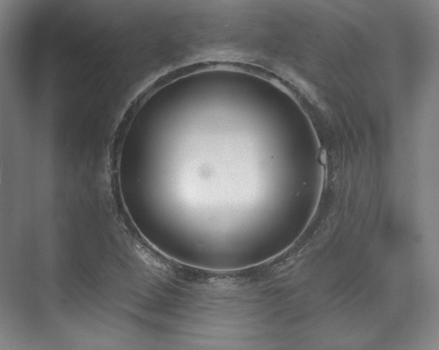 X0000073871264200608101500