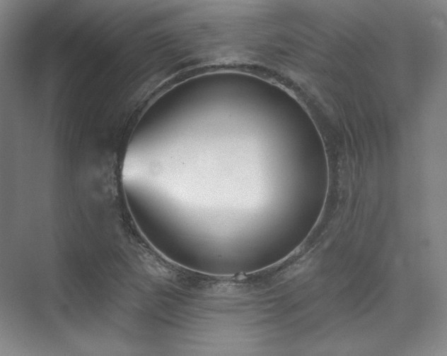 X0000073871265200608101500