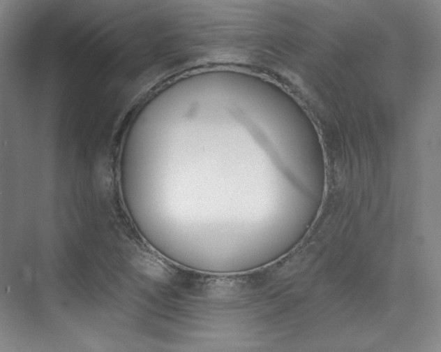 X0000073871266200608101500