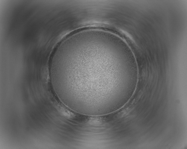 X0000073871267200608101500