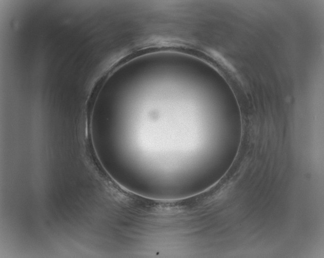 X0000073871269200608101500