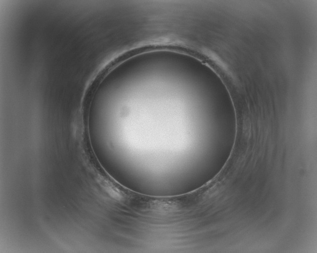 X0000073871270200608101500