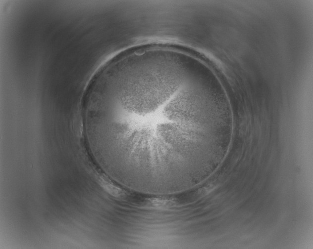 X0000073871271200608101500