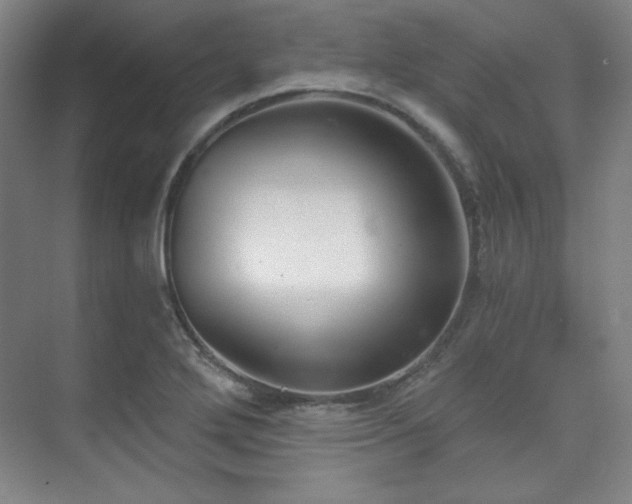 X0000073871272200608101500