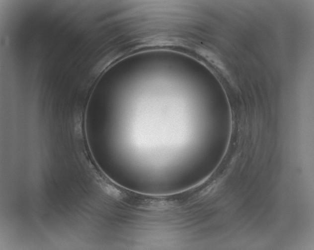 X0000073871273200608101500