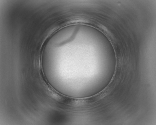 X0000073871274200608101500