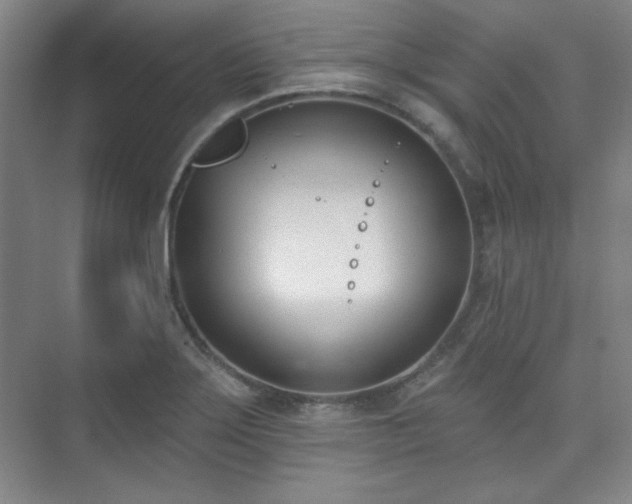 X0000073871275200608101500