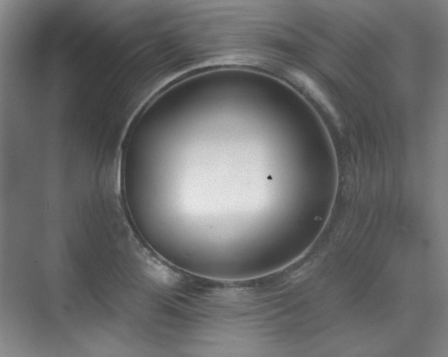 X0000073871276200608101500