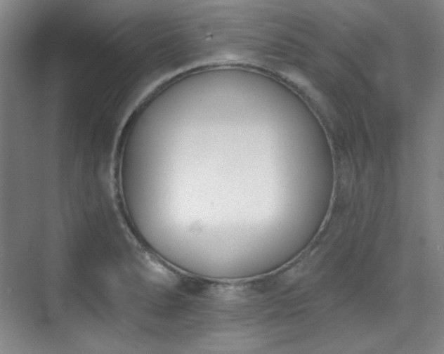 X0000073871278200608101500