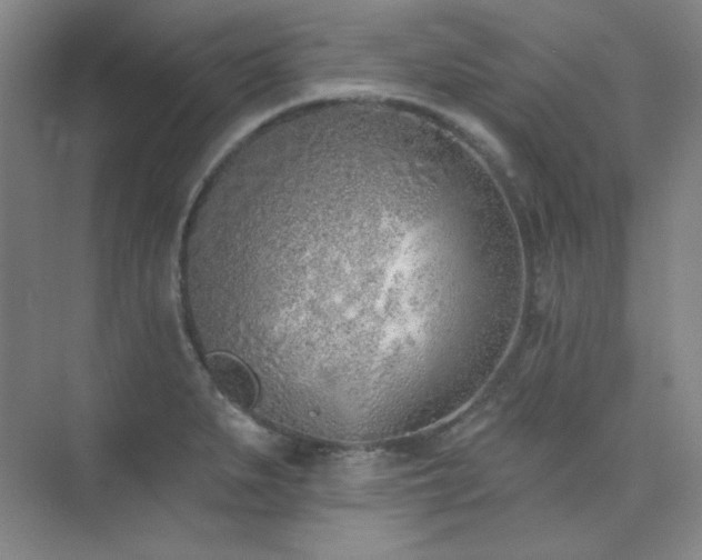 X0000073871279200608101500