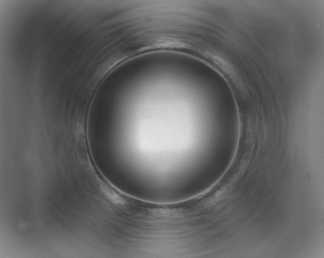 X0000073871281200608101500